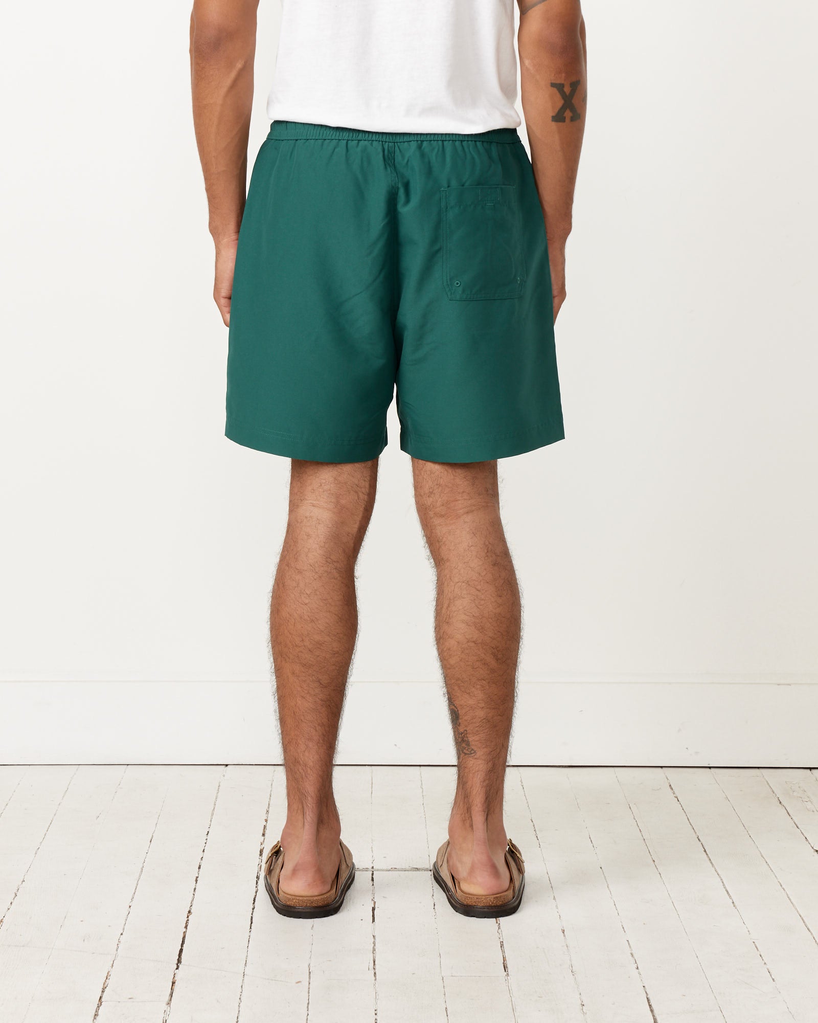 Chase Swim Trunks in Chervil/Gold