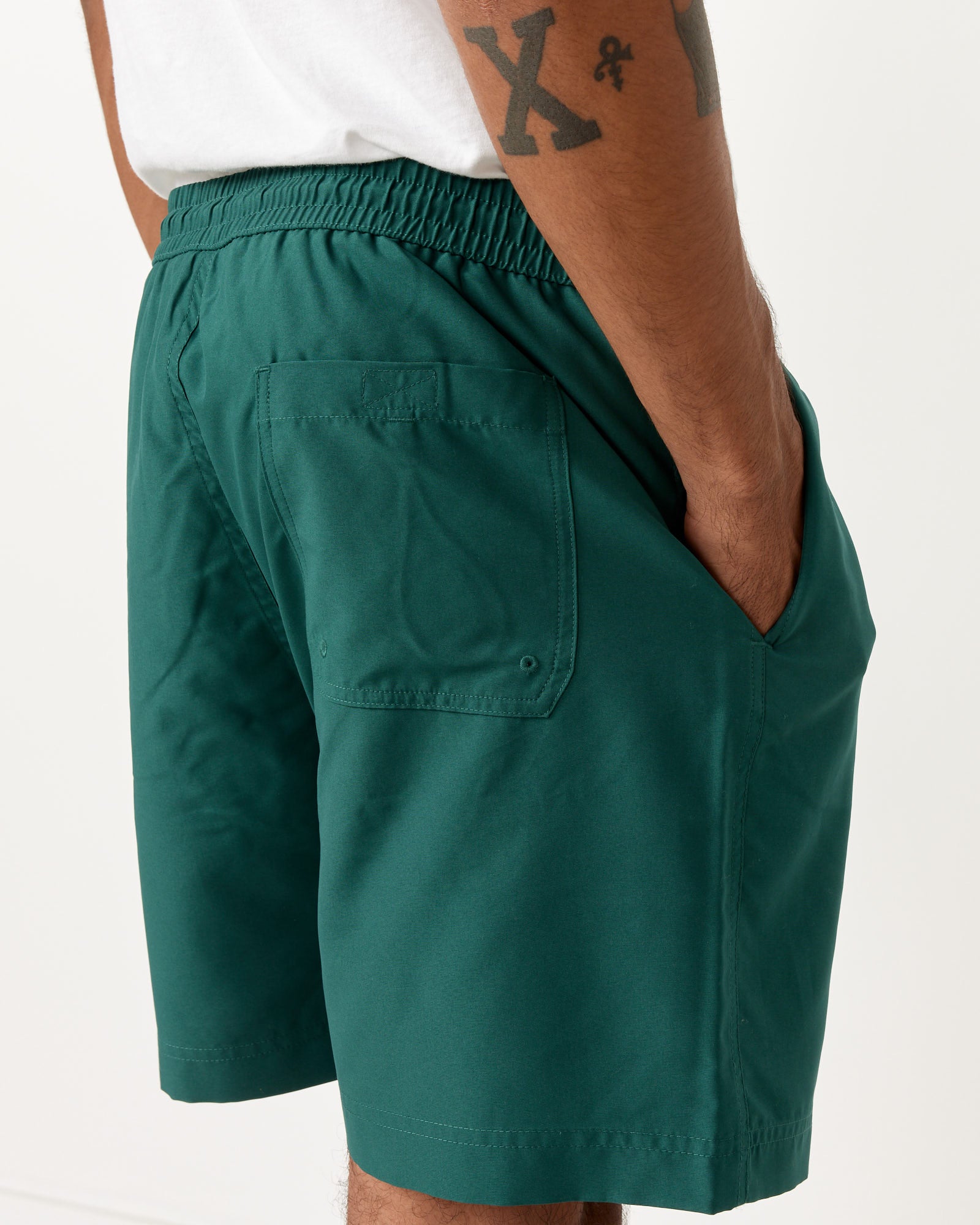 Chase Swim Trunks in Chervil/Gold