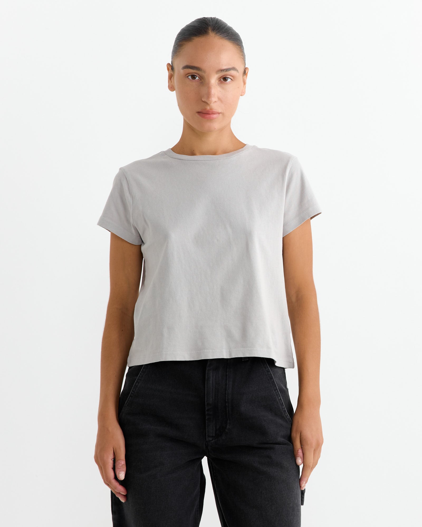 Adine Shrunken Tee in Flake