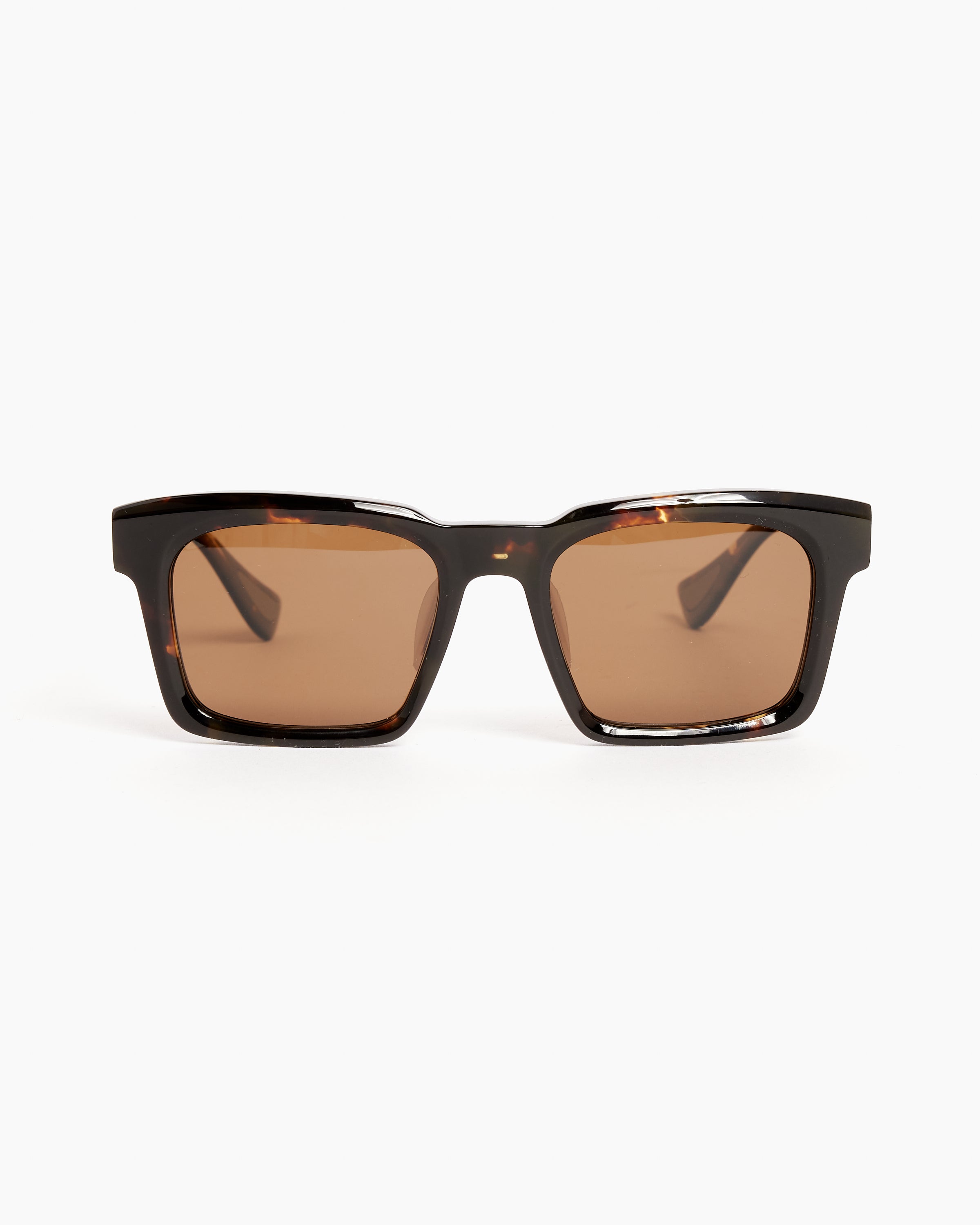 Clifford Sunglasses in Tortoise